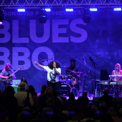BLUES BBQ FESTIVAL to Return to Hudson River Park for 26th Annual Edition