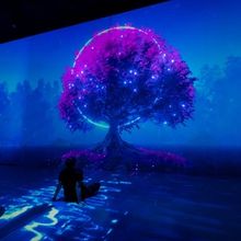 ARTECHOUSE NYC Offers Free Admission for Kids on Snow Days