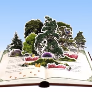 Further Details Revealed For Cultural Celebrations in Ashdown Forest For…