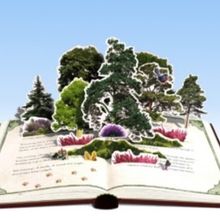 Further Details Revealed For Cultural Celebrations in Ashdown Forest For Winnie-The-P