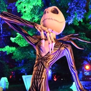 Photos: Inside THE NIGHTMARE BEFORE CHRISTMAS Light Trail at the New York Botanical…