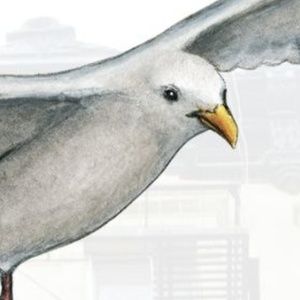 SEAGULLS ON SULLIVAN STREET Will Receive Private Salon Presentation