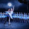 Cape Ballet Africa's SWAN LAKE Will Tour Australia in April 2027