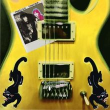 Puzzled Panther Drops Electric Debut EP Feat. Brian Chase & Eugene Hütz