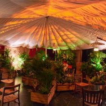 Oily Cart Announces New Nature-Inspired Sensory Theatre Adventures