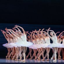 Photos: Nashville Ballet's SWAN LAKE Enthralls at Tennessee Performing Arts Center