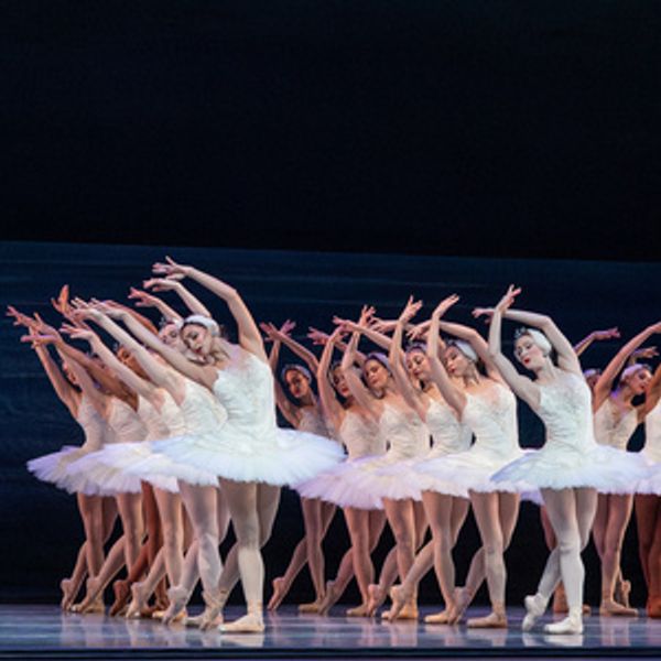 Photos: Nashville Ballet's SWAN LAKE Enthralls at Tennessee Performing Arts Center Photo