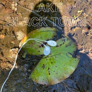 JayVe Montgomery To Present LAKE BLACK TOWN Concert Following NEA Funding Cuts