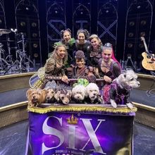 Photos: Dogs Dressed as the SIX Queens Meet the SIX Queens of Broadway