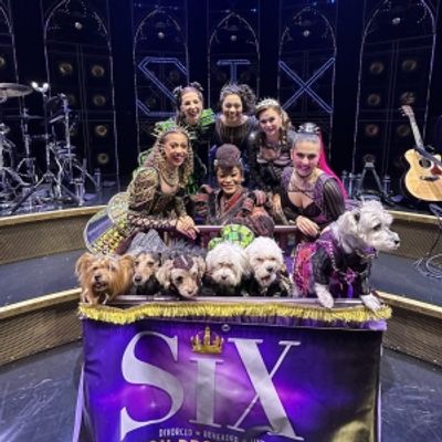Photos: Dogs Dressed as the SIX Queens Meet the SIX Queens of Broadway