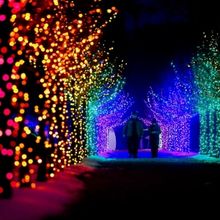 Berkshire Theatre Group And The Trustees Of Reservations Announce Holiday Collaborati