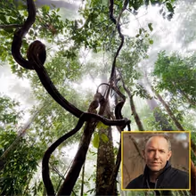 Mattias Klum Will Appear in TRAILBLAZING TALKS Series at Kauffman Center