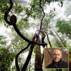 Mattias Klum Will Appear in TRAILBLAZING TALKS Series at Kauffman Center