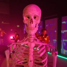 STEP - SCENES FROM THE HISTORY OF HUMANKIND Comes to the Cameri Theatre