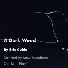 Cast and Creative Team Set For A DARK WOOD Chicago Premiere at Tin Drum Theatre…