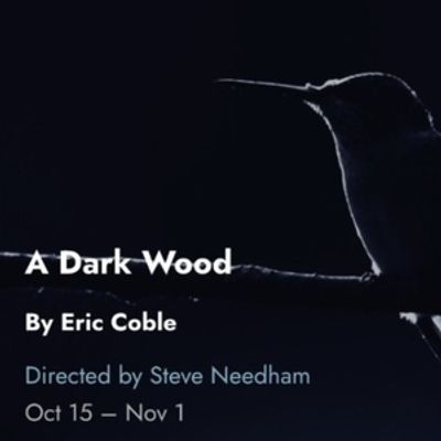 Cast and Creative Team Set For A DARK WOOD Chicago Premiere at Tin Drum Theatre Compa