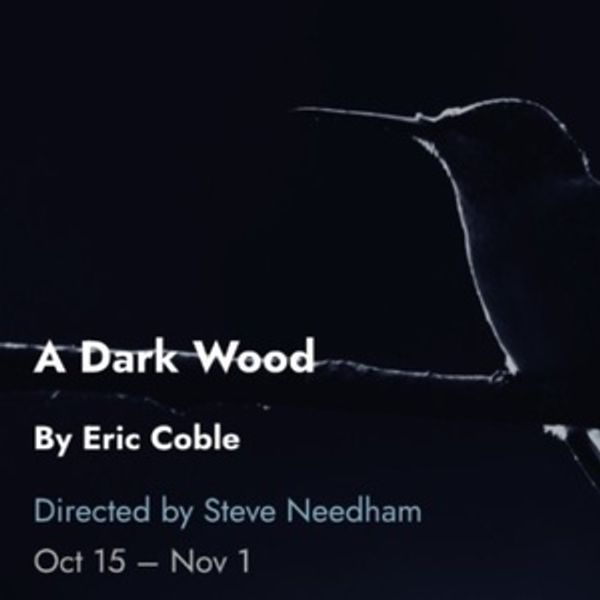 Cast and Creative Team Set For A DARK WOOD Chicago Premiere at Tin Drum Theatre Compa Photo