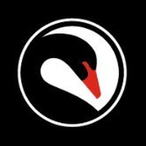 Cygnet Theatre Announces New Artistic Leadership Photo