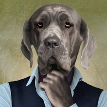 FIFTEEN DOGS Comes to the Segal Centre in March