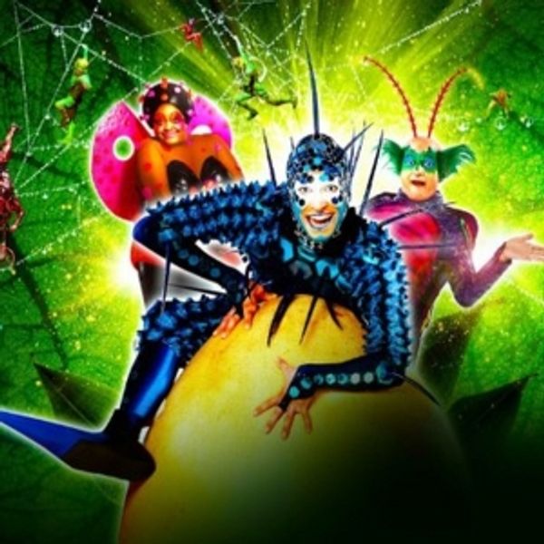 Cirque Du Soleil OVO Will Return on UK Tour Photo