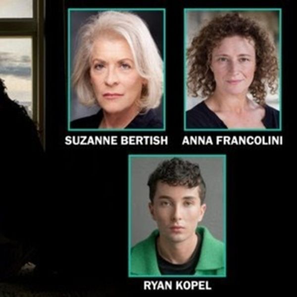 Cast Set for UK Premiere of Joshua Harmon's WE HAD A WORLD at Hampstead Theatre Photo
