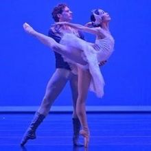 Diversidad Y Presencia Nacional Artística En La Programación De La Compañía Nacio