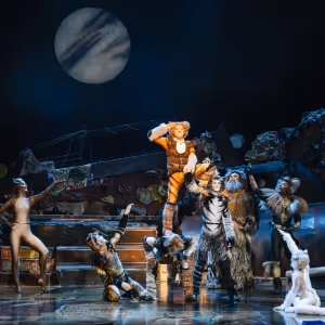 CATS Comes to Perth This Year