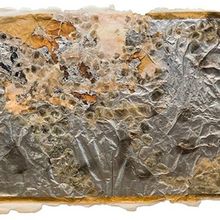 TENDER ALCHEMY: BETH AMES SWARTZ AND JULIANNE SWARTZ Opens At Scottsdale Museum of Co