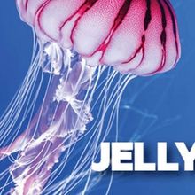 Australian Premiere of JELLYFISH is Now Playing at New Theatre