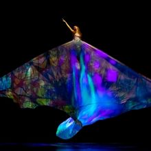MOMIX: ALICE Come to Toledo Next Month