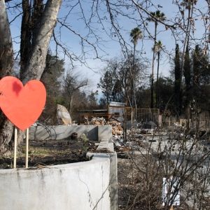 Over 1,700 Artists and Arts Workers in LA Receive $14.3 Million for Urgent Fire…