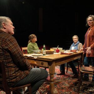 Photos: Richard Nelson's WE'LL SEE at The Public Theater