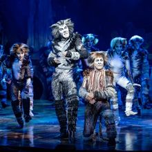 Brisbane Welcomes 40th Anniversary Tour of CATS as Limited Tickets Released