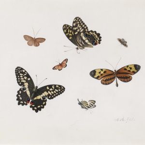 Master Drawings New York Announces Spring Exhibitions