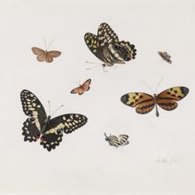 Master Drawings New York Announces Spring Exhibitions