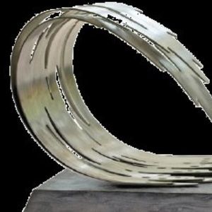 Visual Artist Charisse Pearlina Weston as the 2026 Recipient of the $35,000 Hermitage Greenfield Prize