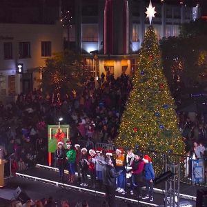 2023 Annual Downtown Culver City Holiday Tree Lighting SLED-TACULAR