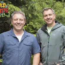 Coral Springs Center for the Arts to Present All New WILD KRATTS LIVE 2.0 Next Year