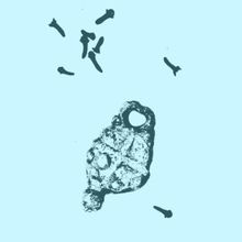 The Brick Presents THE SALT THAT YOU BRING TO THE TABLE This Month