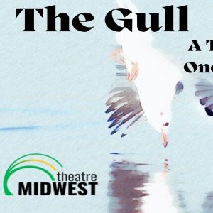 Zachary Cohn's THE GULL Comes to Barrow Street Theatre This Month