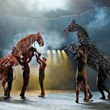 Further Dates Added to UK Tour of WAR HORSE