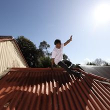 Flying Fruit Fly Circus Will Perform BIG SKY