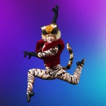 CATS To Close Berkeley Playhouse 2025–26 Season At Julia Morgan Theater
