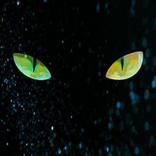 Muse Machine Presents CATS at Victoria Theatre