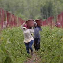 FOOD INC 2 Will Screen at Jaffrey's Park Theatre