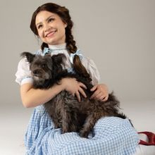 Musical Theatre West Presents Must See Family Show Of The Summer THE WIZARD OF OZ