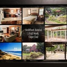 Playhouse Theatre Group, Inc. Launches Online Silent Auction for their Annual Fundrai