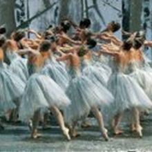 Segerstrom Center For The Arts Announces Cast For American Ballet Theatre's THE NUTCR