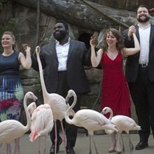 Cincinnati Opera Unveils Dynamic Community Programs And Performances Enhancing Its 20