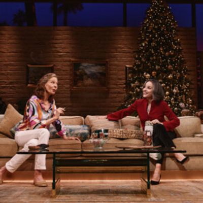 Photos: First Look at OTHER DESERT CITIES on Broadway